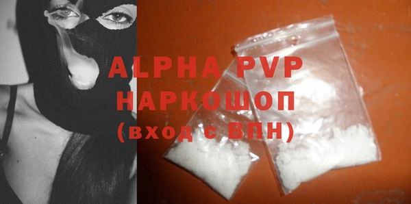 стафф Бородино