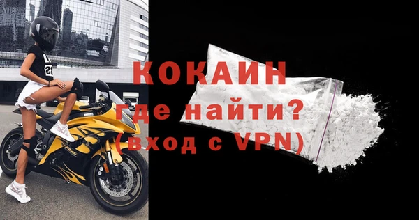 стафф Бородино